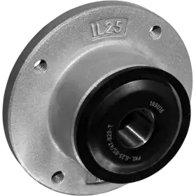 IL25-85/4T-B20-T